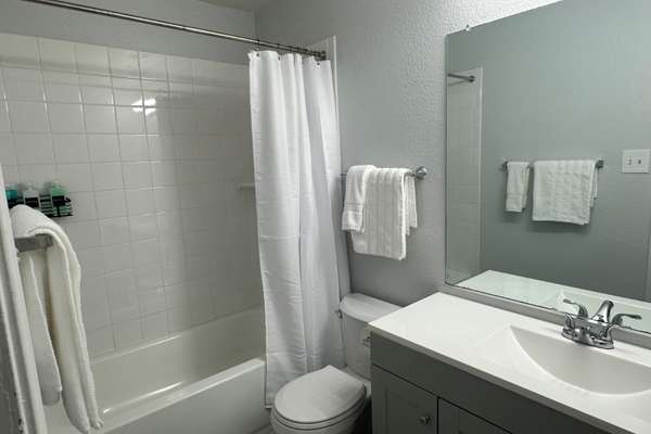North Central Dallas Gem | Large group